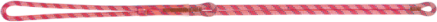 DYNACONNEXION