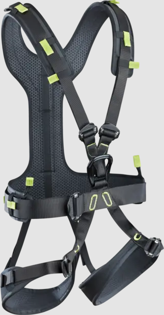 Radialis Pro Adjust