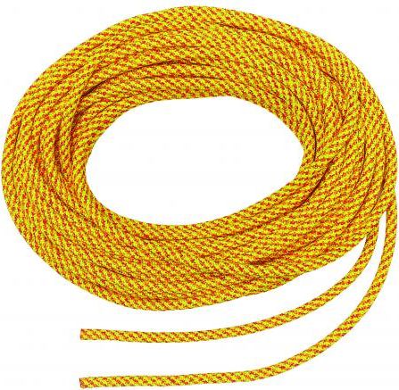 Yellow Squir